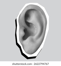 Human ear - modern collage element. Vector illustration isolated on gray background