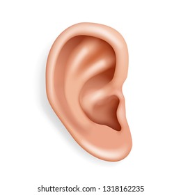 Human ear organ hearing health care closeup 3d realistic isolated icon design vector illustration