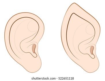 Human ear and pointed ear of an elf, fairy, vampire or other fantasy creature.