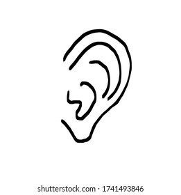 Human ear, simple linear drawing  sketch illustration on white background.book illustration for advertising and printed materials
