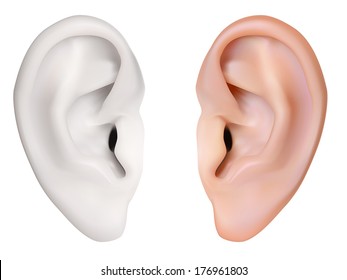 Human Ear. Vector Illustration