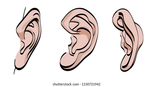 Human ear. Vector illustration. Front, back and side view. Isolated on white.