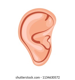 Human ear, Vector illustration icon design