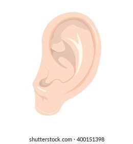 human ear vector Illustration isolated on white background