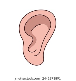 human ear vector illustration on white background. illustration of body organs