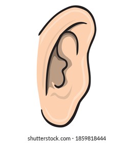 human ear vector illustration,isolated on white background, top view