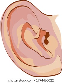 Human ear viewed from side clip art