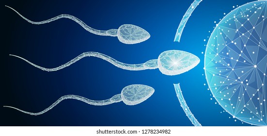 Human Egg Cell Fertilization with Sperm Cells Inside of Uterus