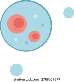 Human Egg Cell Ovum and Sperm Vector. Conception and Embryology Fertilization Process Graphic