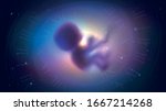 The human embryo in space and the spiral of time, the concept of reincarnation, evolution and astrology