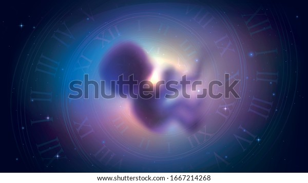 The human embryo
in space and the spiral of time, the concept of reincarnation,
evolution and astrology