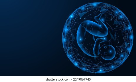 Human embryo in a spherical shell. Polygonal design of interconnected lines and points. Blue background.