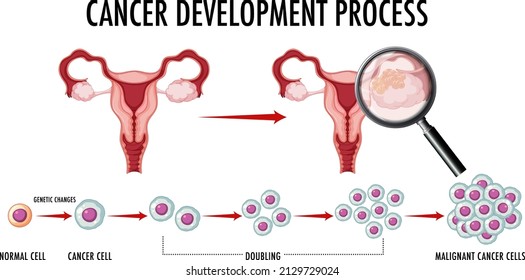 Human embryonic development in human infographic illustration