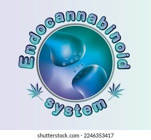 el sistema endocannabinoide humano sobre fondo blanco, diseño del logotipo tipográfico, ilustración del vector médico.