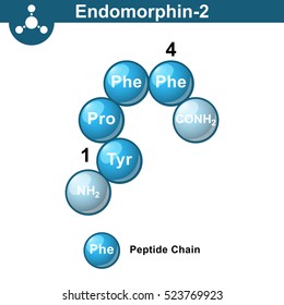 Human endomorphin 2 chemical molecule, endogenous opioid peptide, 3d chemical vector icon, isolated on white background, eps 10