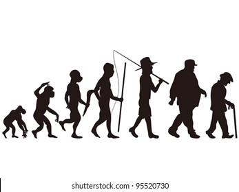 Human Evolution