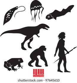 Human Evolution. Animal Evolution Vector Set.