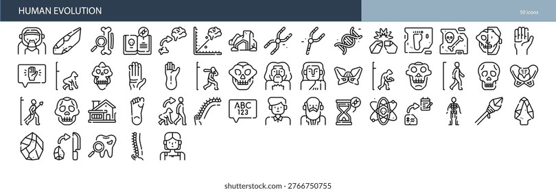 Human Evolution Anthropology Primates Hominid Development Darwin Icon Set