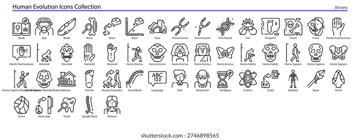 Human Evolution Anthropology Primates Hominids Icon Collection