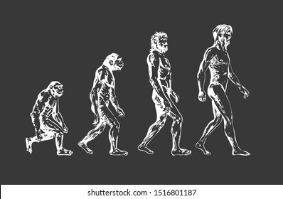 Human evolution, hand drawing on black background - vector