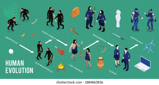Human evolution isometric infographics layout with images of homo habilis ardipithecus cro magnon australopithecus as ancient families of caveman vector illustration svg