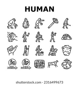 human evolution man caveman icons set vector. monkey evolve, ape darwin, theory computer, history homo, anthropology human evolution man caveman black contour illustrations