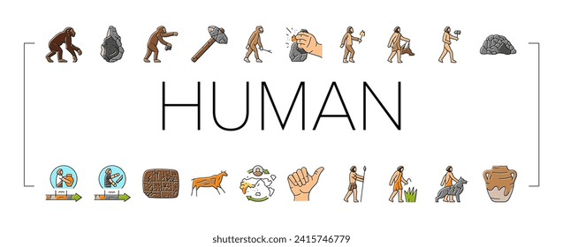 human evolution man caveman icons set vector. monkey evolve, ape darwin, theory computer, history anthropology human evolution man caveman color line illustrations