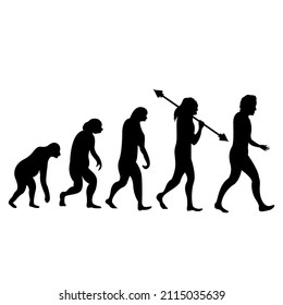 Human Evolution. From Monkeys To Normal Humans. Vector Character Illustration, Human Evolution Icon, Apes And Their Ancestors