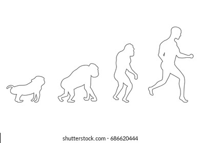 Human evolution process. 4 stages. Darwin's theory. Vector illustration.