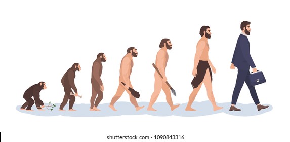 Human Evolution Chart Pdf
