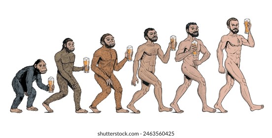 Human evolution theory and beer, from monkey to man, isolated on the white background. Human development. Comic style vector illustration. 