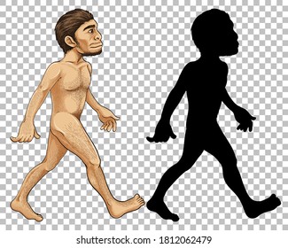 Human Evolution Transparent Background Illustration