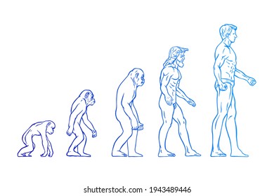 Human evolution Vector illustration - Hand drawn - Out line