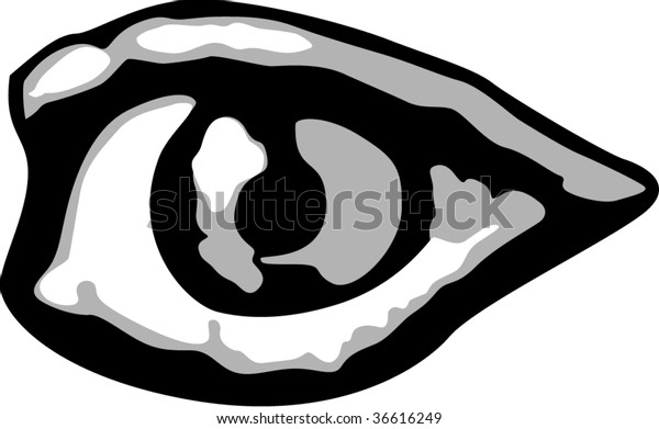 Human Eye Stock Vector Royalty Free 36616249 Shutterstock 3170