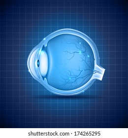 Human Eye Abstract Design, Detailed Medical Illustration. Beautiful Deep Blue Color.