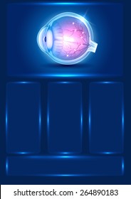 Human eye anatomy beautiful blue template