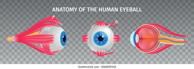 Human eye anatomy transparent set with vision diseases symbols isometric isolated vector illustration