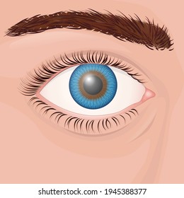 Human eye close up, blue iris