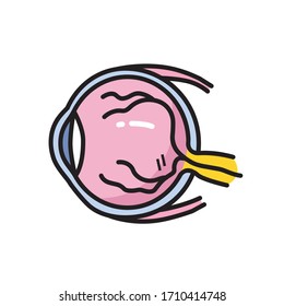 Ilustración vectorial coloreada por ojos humanos