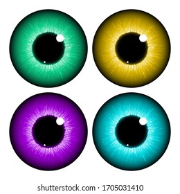 human eye, cornea, retina, pupil Close-up of iris set. Realistic vector illustration isolated on white background