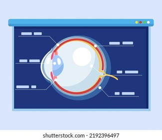 Human eye Diagram with explaining. explain anatomy for lecture, workshop, presentation. education concept