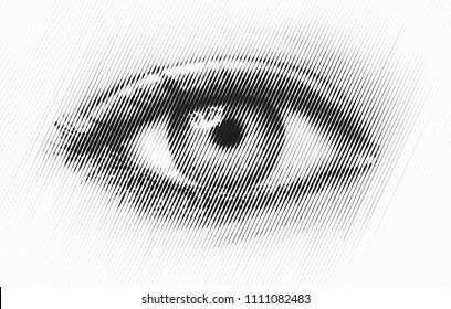 The human eye, a drawing in a modern halftone style. flat vector illustration isolated on white background