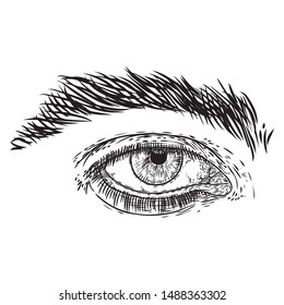 Human eye in engraved style. Male vision organ with iris, eyebrows and full lashes front. Makeup salon design element for man. Vector.