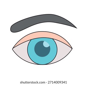 Olho humano com sobrancelha em close-up, estilo de correção da visão plana