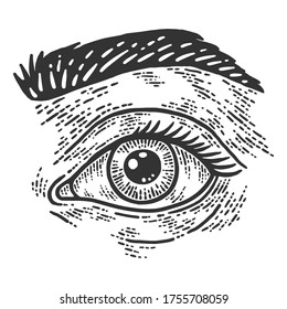 Human eye and eyebrow. Sketch scratch board imitation. Black and white.