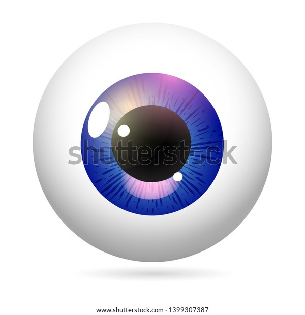 人間の目の前面の接写 角膜 網膜 瞳 紫のアヤメ 白い背景に眼球のアイコンデザイン リアルなベクターイラスト のベクター画像素材 ロイヤリティフリー