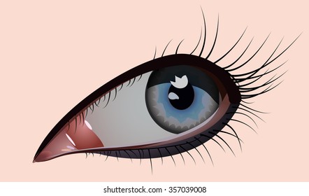The human eye is a girl. Black lashes. Eyeball . Sight . They are like ghost lights. They are enticing . Makeup .