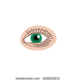 The human eye is green. Vector illustration.