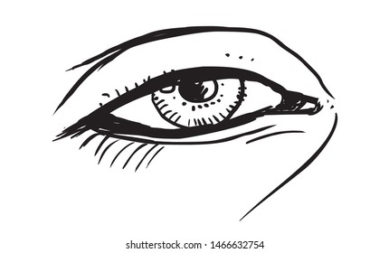 Human eye, hand drawn vector illustration