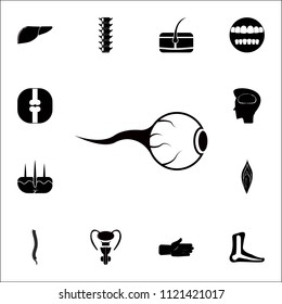 human eye icon. Detailed set of Human parts icons. Premium quality graphic design sign. One of the collection icons for websites, web design, mobile app on colored background